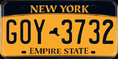 NY license plate GOY3732