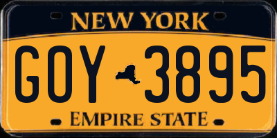 NY license plate GOY3895