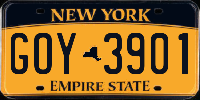 NY license plate GOY3901