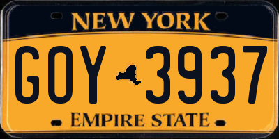 NY license plate GOY3937