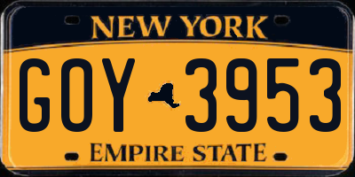 NY license plate GOY3953