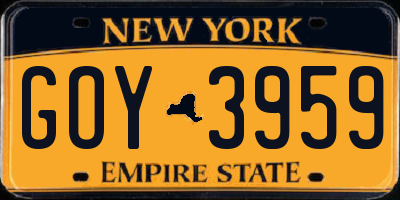 NY license plate GOY3959