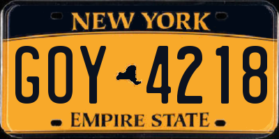 NY license plate GOY4218