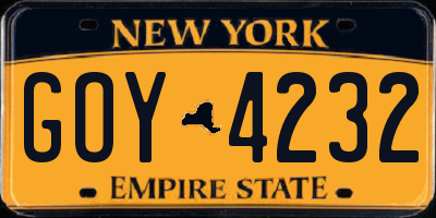 NY license plate GOY4232