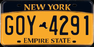 NY license plate GOY4291