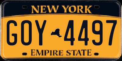 NY license plate GOY4497