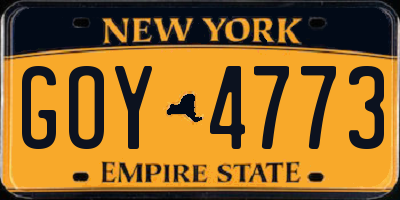 NY license plate GOY4773