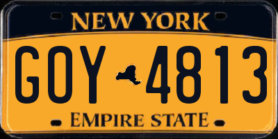 NY license plate GOY4813