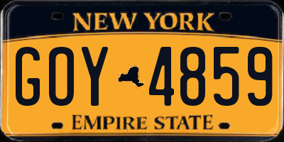 NY license plate GOY4859