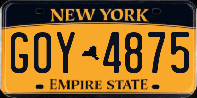 NY license plate GOY4875