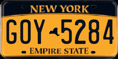 NY license plate GOY5284