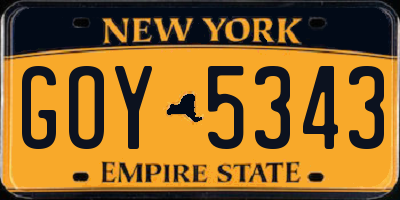 NY license plate GOY5343