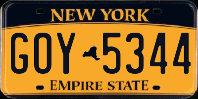 NY license plate GOY5344