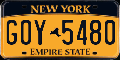 NY license plate GOY5480