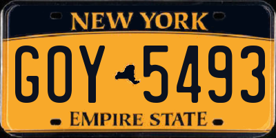NY license plate GOY5493