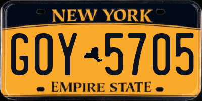NY license plate GOY5705