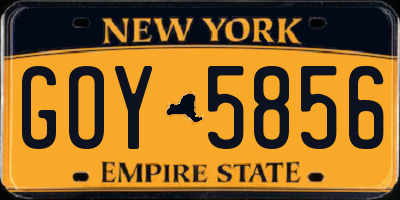 NY license plate GOY5856