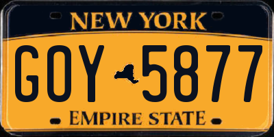 NY license plate GOY5877