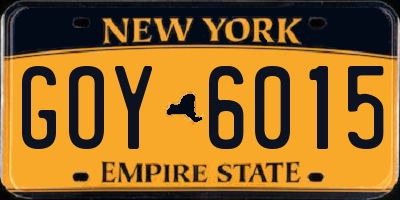 NY license plate GOY6015