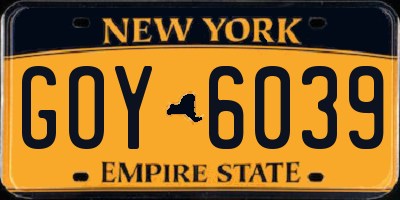 NY license plate GOY6039