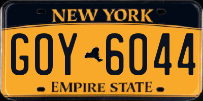 NY license plate GOY6044