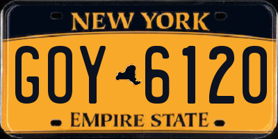 NY license plate GOY6120