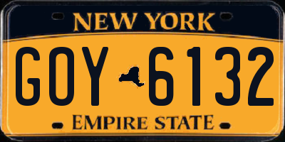 NY license plate GOY6132