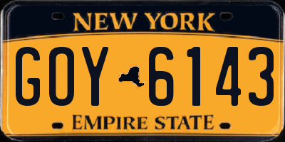 NY license plate GOY6143