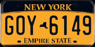 NY license plate GOY6149
