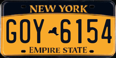 NY license plate GOY6154