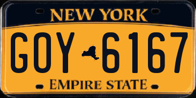NY license plate GOY6167