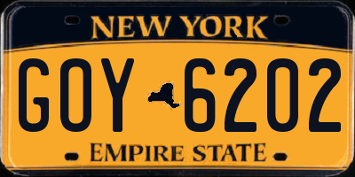 NY license plate GOY6202