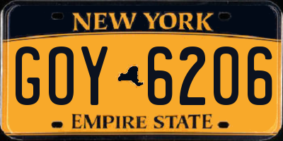 NY license plate GOY6206