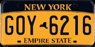 NY license plate GOY6216