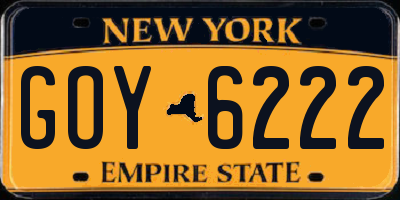 NY license plate GOY6222