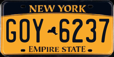 NY license plate GOY6237