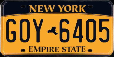 NY license plate GOY6405