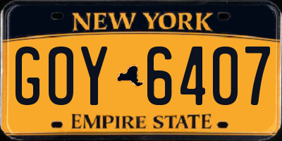 NY license plate GOY6407