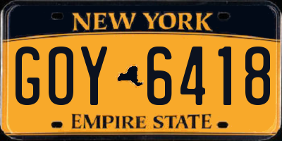 NY license plate GOY6418
