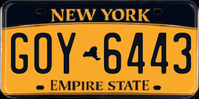 NY license plate GOY6443