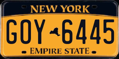 NY license plate GOY6445