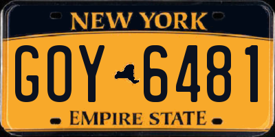 NY license plate GOY6481