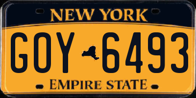 NY license plate GOY6493