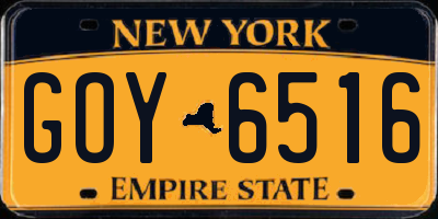 NY license plate GOY6516