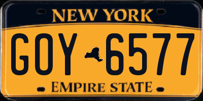 NY license plate GOY6577