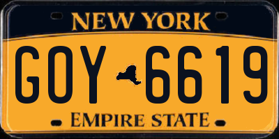 NY license plate GOY6619