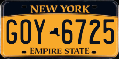 NY license plate GOY6725