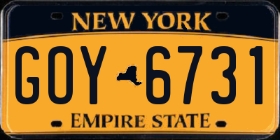 NY license plate GOY6731