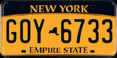 NY license plate GOY6733