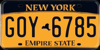 NY license plate GOY6785